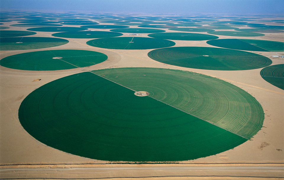 agriculture-in-desert-saudi-arabia.jpg