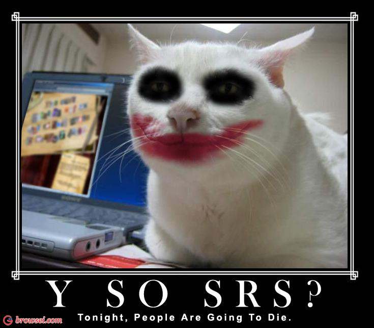 why-so-serious-cats-funny-batman.jpg