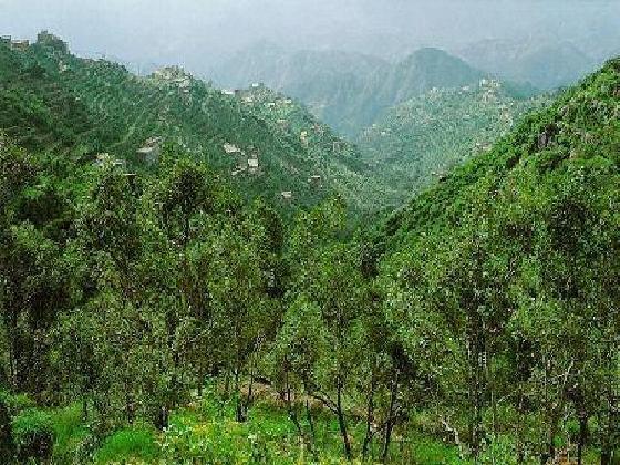 abha+mountains.jpg