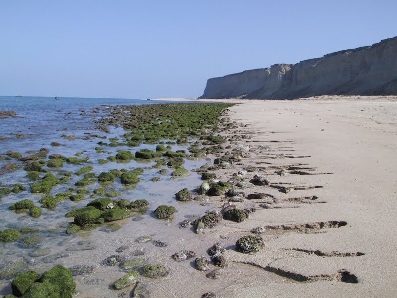 Astola+Island,+north+beach.jpg