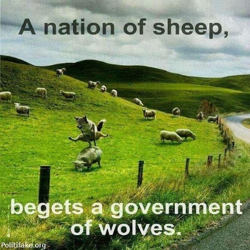 Sheeple%2Bwolves%2B%2528500x500%2529.jpg