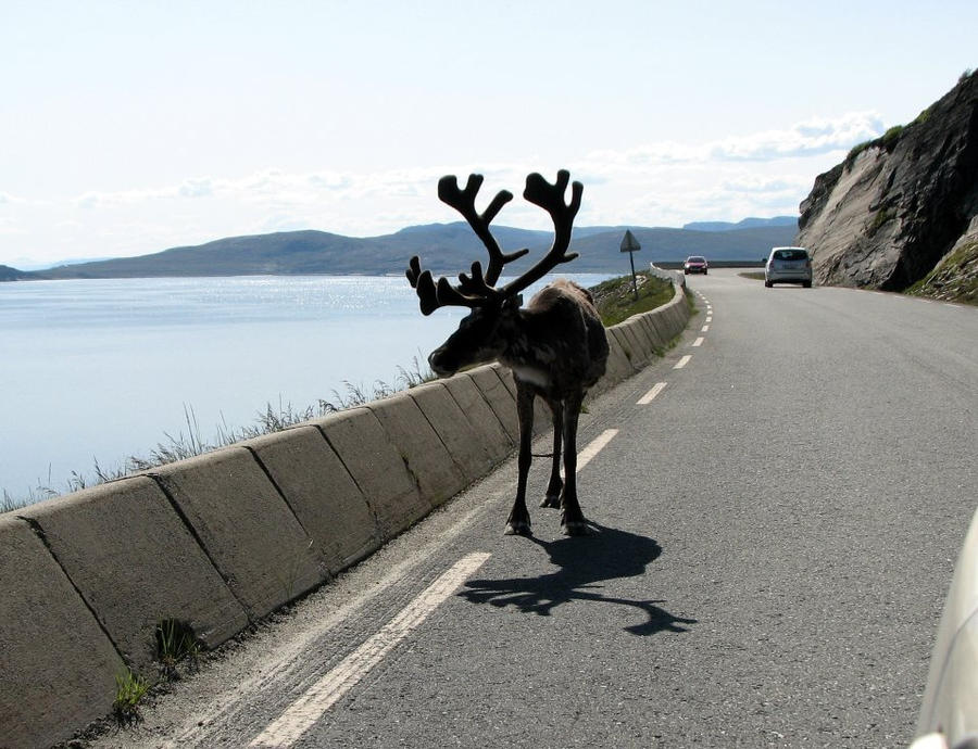 king_of_norwegian_roads_by_yuppern-d4kpvza.jpg