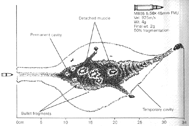 M16A2_M855_5.56X45mm_NATO_wound_ballistics.gif