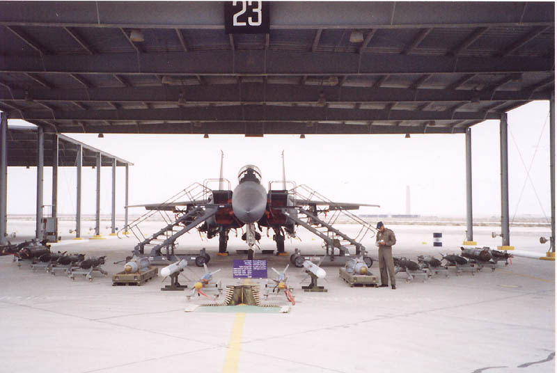 AIR_F-15S_RSAF_Weapons_Eagleamn_FPD_lg.jpg