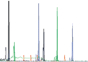 14-bradman_fig_3.gif