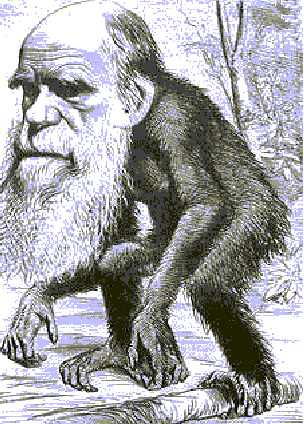 darwin-monkey1.jpg