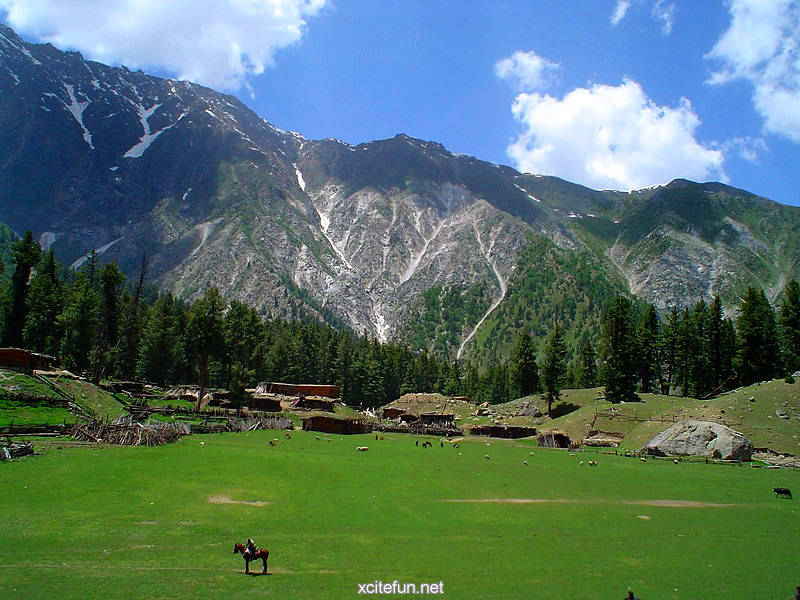 186675,xcitefun-shandur-mela-1.jpg