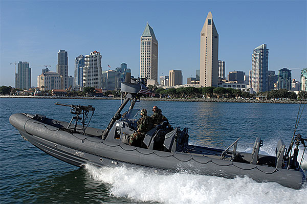 nsw-rhib.jpg