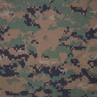 usa_marpat_pattern.jpg