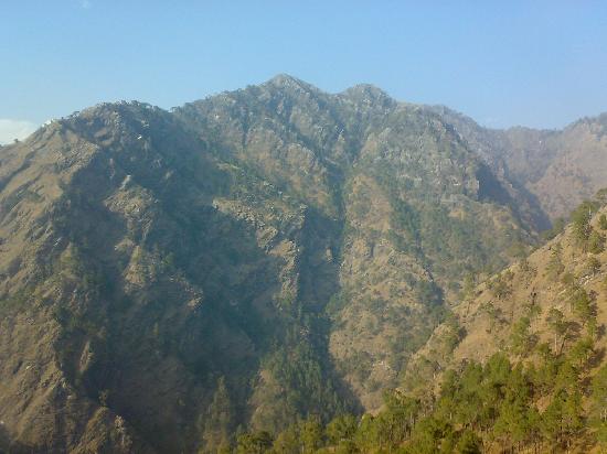 vaishno-devi-mata.jpg