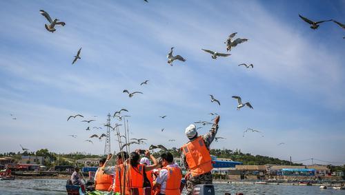 Japan releases Asia's cleanest city rankings, 5 Chinese cities are on the list, Dalian is second