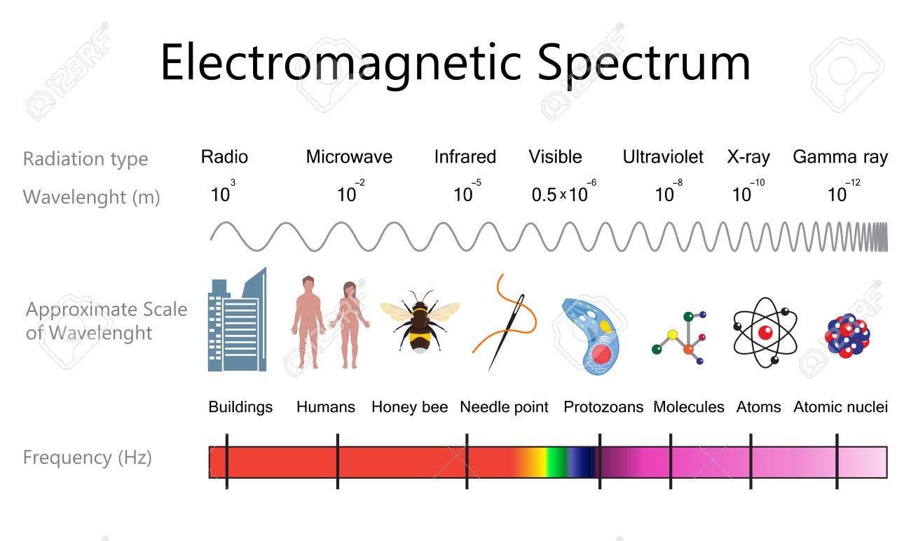 81668842-electromagnetic-spectrum-diagram-.jpg