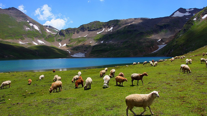 01%20Deosai%20Plateau.jpg