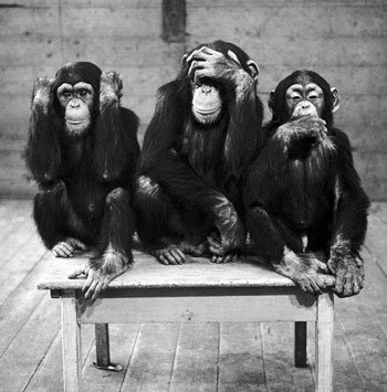 three-wise-monkeys-c117656571.jpg