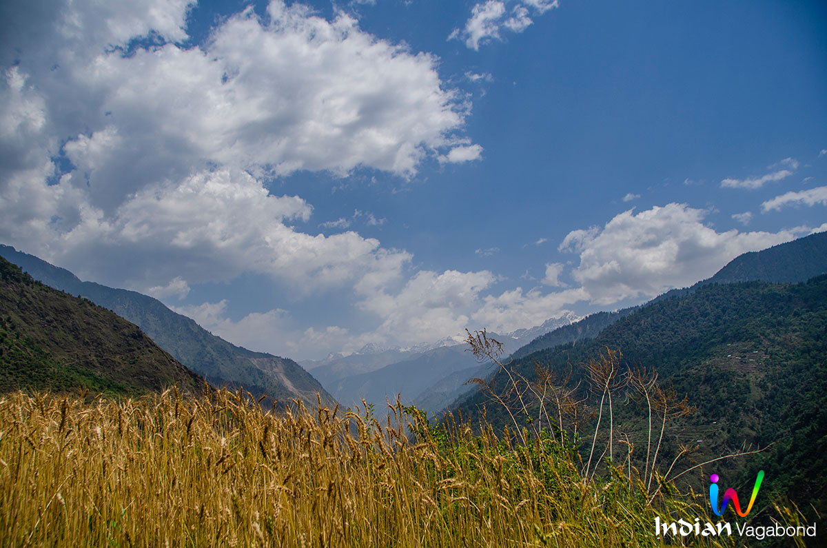 raithal-uttarakhand-bloggers-bus-7.jpg