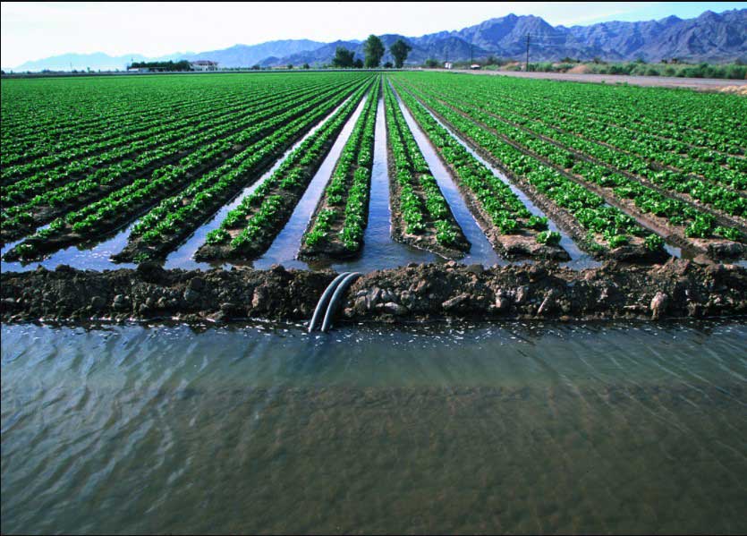 methods-of-irrigation.jpg