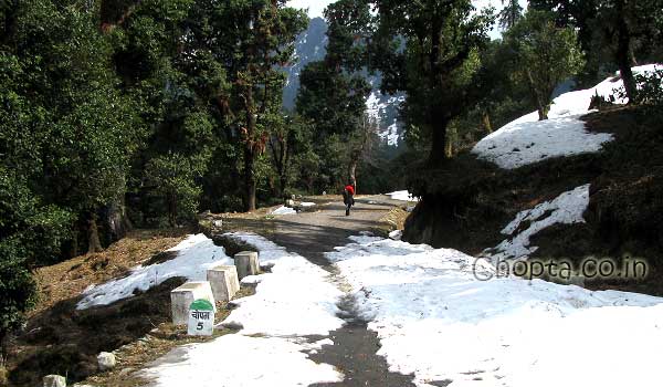 Chopta-in-winter-snow.jpg