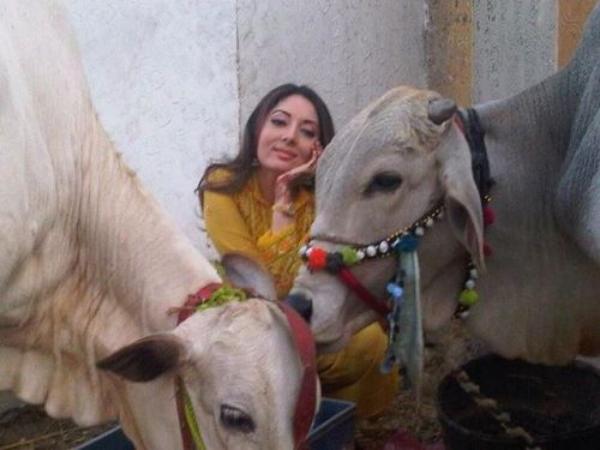 People-Sharmila-Farooqi-with-Qurbani-animals-3632.jpg