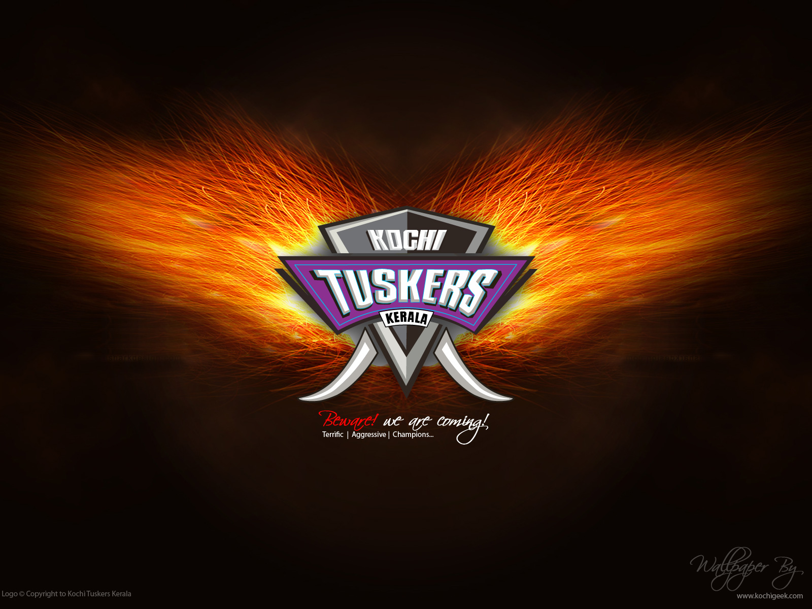 Kochi-Tuskers-Kerala-wallpaper-05.jpg