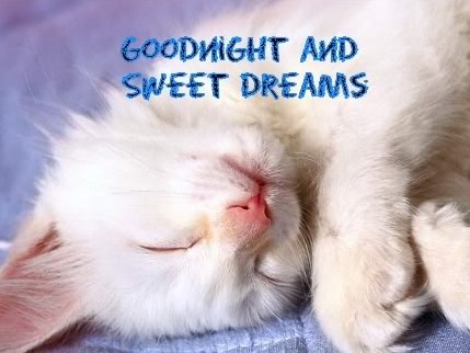 sweet-dreams-kitten-dreams-6376840-.jpg