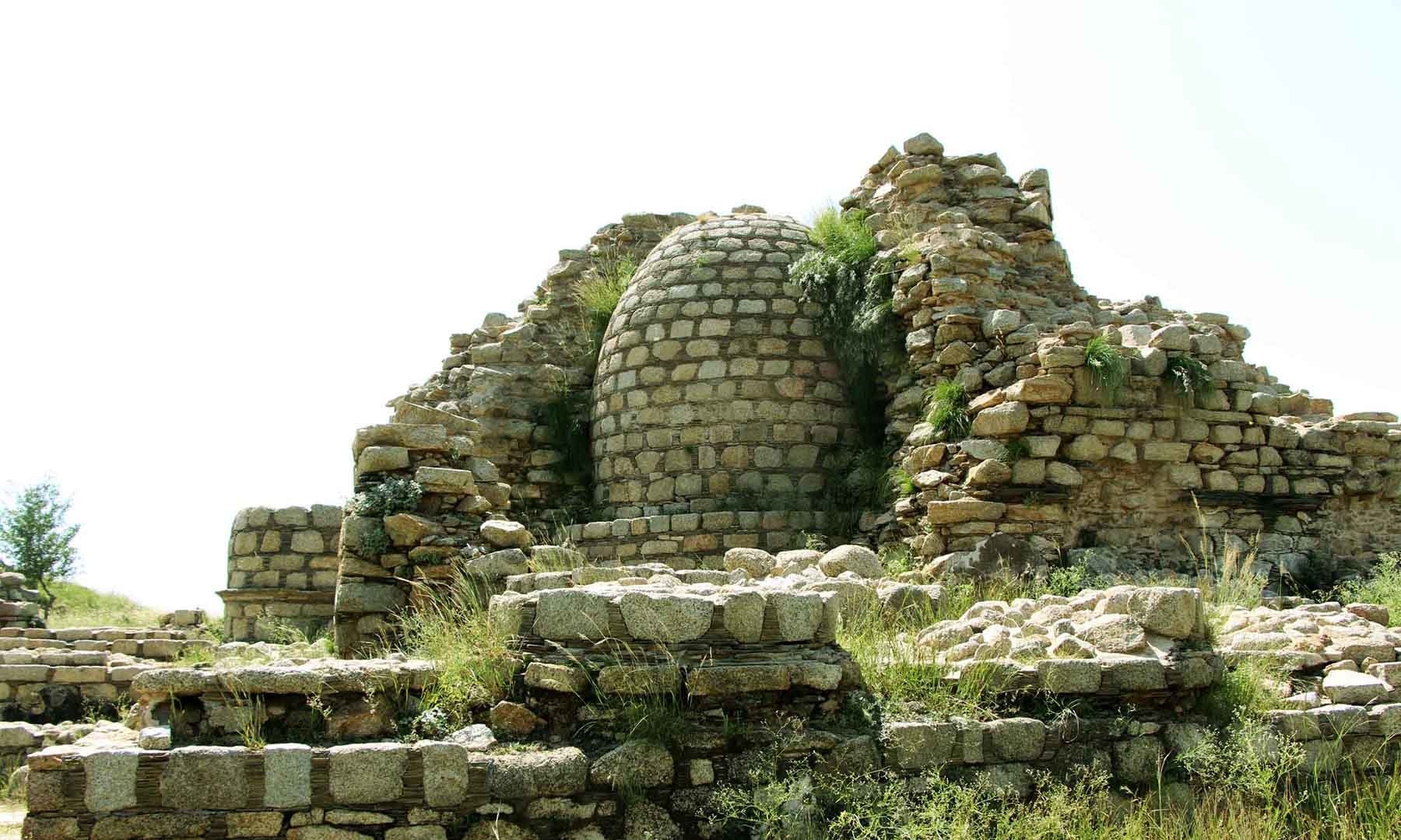 Main Stupa of Rani Gut; Photo by Amjad Ali Sahab