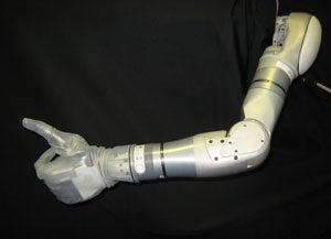 195_arm.jpg