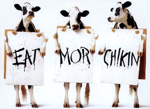 eat-more-chikin.jpg