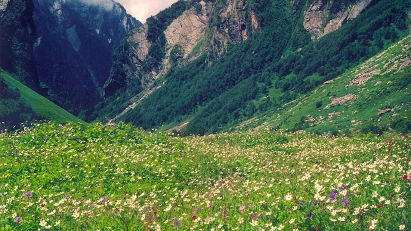 main-valley-of-flowers.jpg