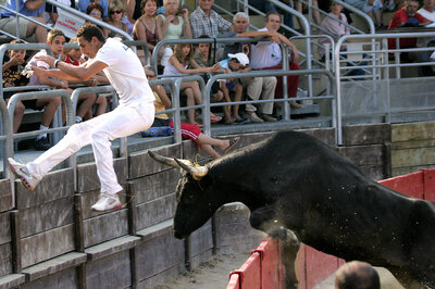 camargue-bull-06_slide-2ca7bdd428d40734a564981b8fcaec67b26ce24d-s400-c85.jpg