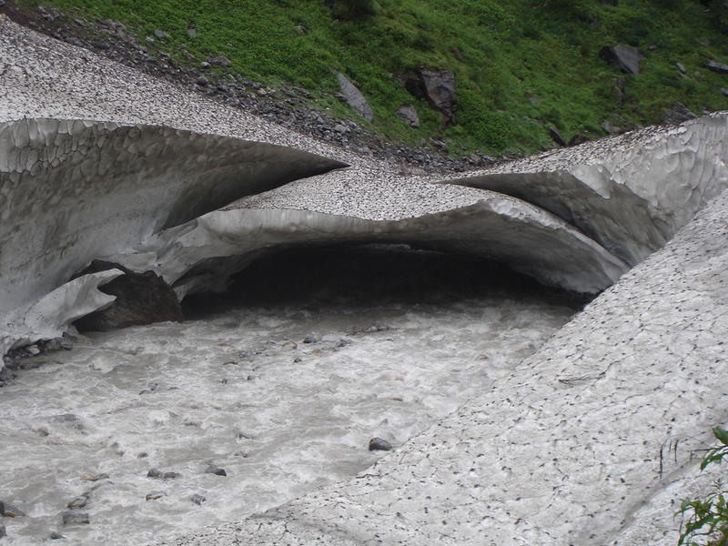 6488d1187583849-valley-of-flowers-and-hemkund-sahib-dsc05292.jpg