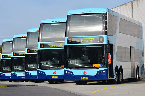 dd-buses-web_opt.jpg