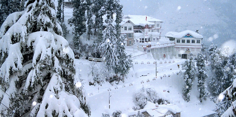 shimla1.jpg