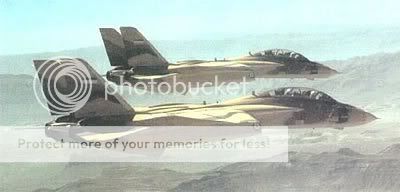 f14oversmall.jpg