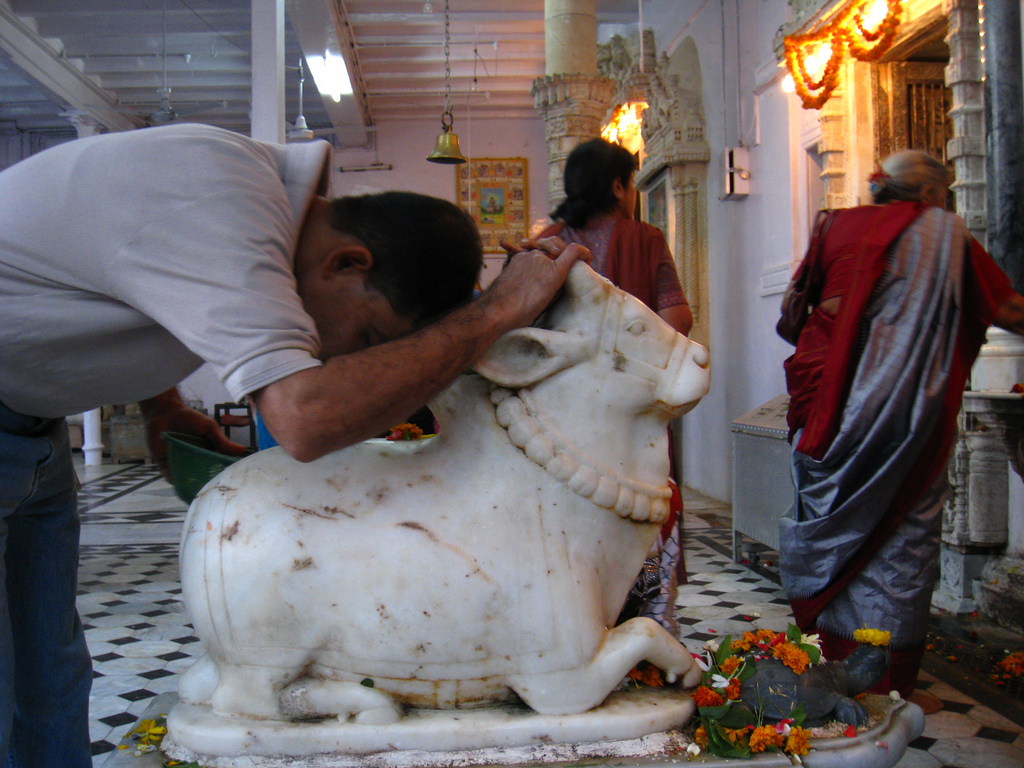 cow-worship.jpg