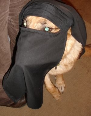 niqab_halal_dog.jpg