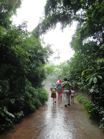 xiangjiang-safari-park.jpg