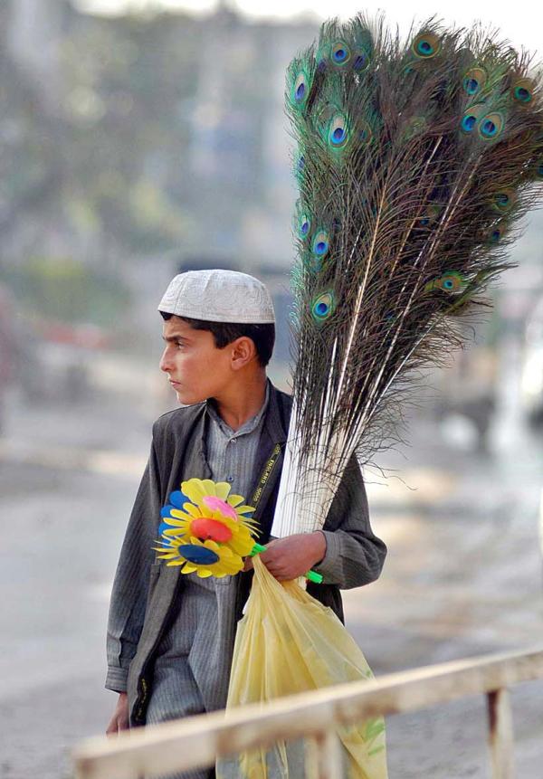 peakok-feather-seller.jpg