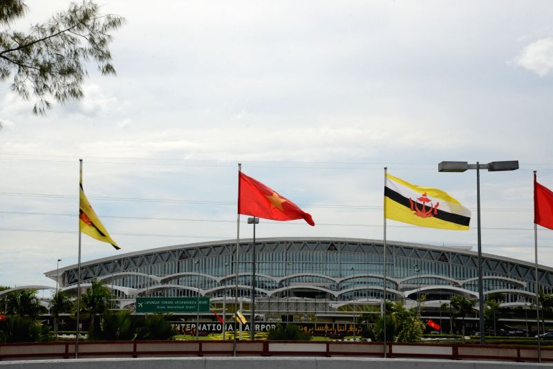 photo-taken-on-aug-26-2016-shows-national-flags-450635.jpg