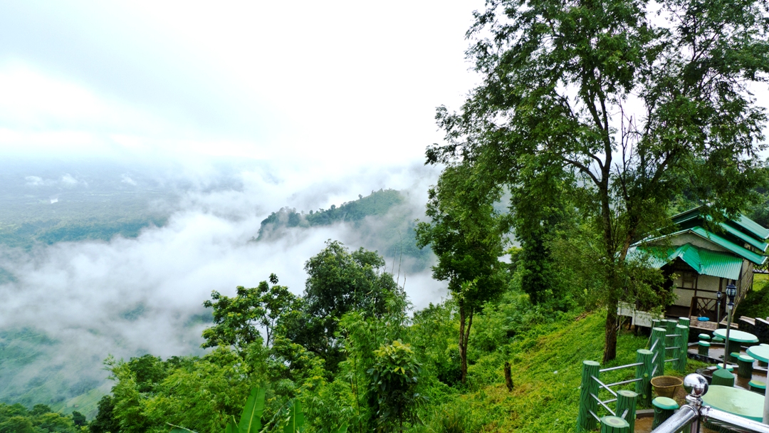 nilgiri13.jpg