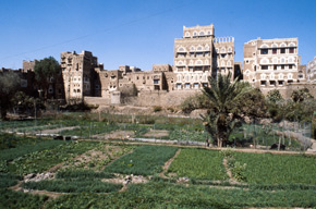 urban-yemen_S.jpg