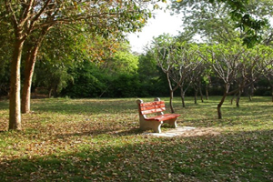 Rajendra-Park.jpg