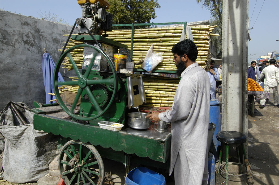 sugar-cane-rawal.jpg