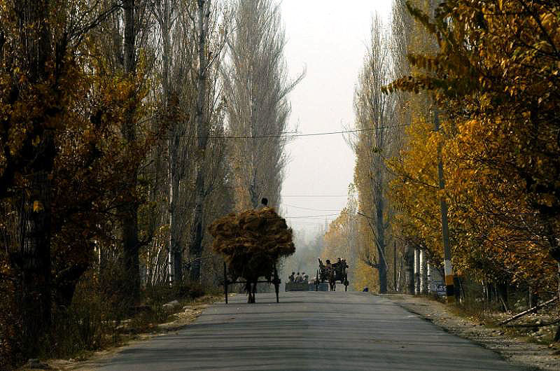 kashmir-view3.jpg