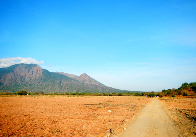 baluran01.jpg