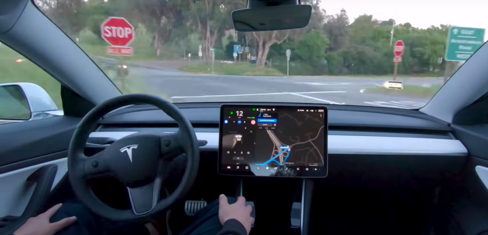 tesla self-driving visualization