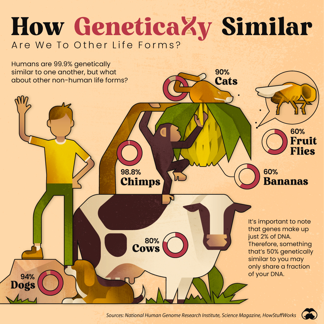 Genetic-Similarities-STREAM-03.jpg