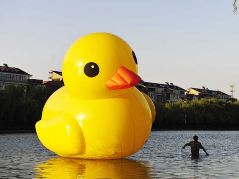 counterfeit-floating-duck-in-china-florentijn-hofman-3.jpg