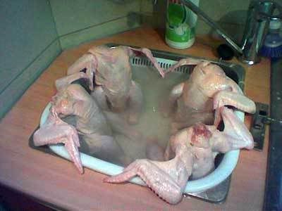 chicken-hot-tub.jpg