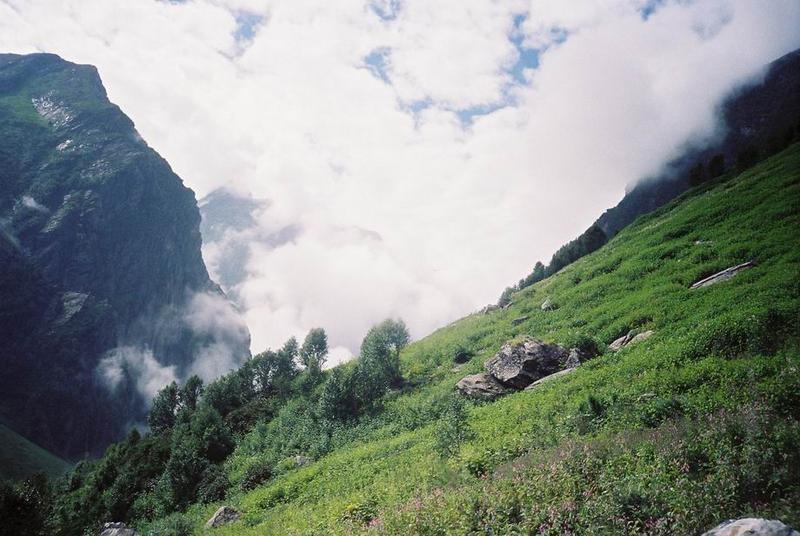 6458d1186847441-valley-of-flowers-and-hemkund-sahib-f1070004.jpg