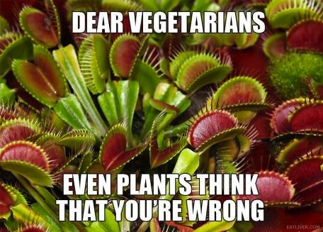 plants-meat.jpg